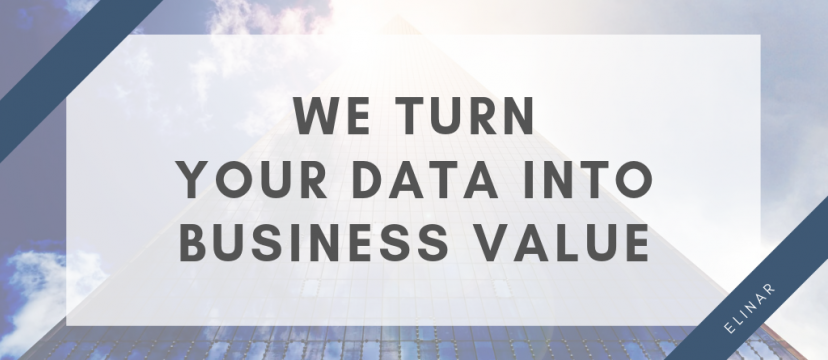 We turn your data into business value