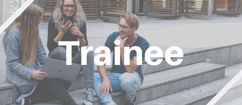 Elina is looking for Trainee for Software Development